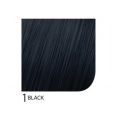 1Black