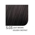 5.03-Light-Brown-Golden-Chesnut