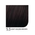 5.3LightGoldenBrown