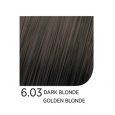 6.03-Dark-Blonde-Golden-Blonde