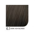 6.1DarkAshBlonde