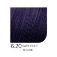 6.20-Dark-Violet-Blonde