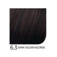 6.3DarkGoldenBlonde
