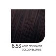 6.53DarkMahoganyGoldenBlonde