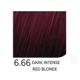6.66DarkIntenseRedBlonde