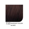 7.53MahoganyGoldenBlonde