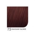7.5MahoganyBlonde